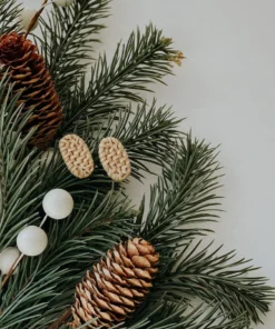 DayCrafter Rattan Stud Earrings New Arrivals