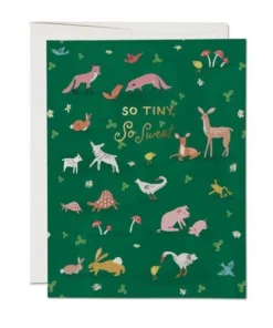 Red Cap Cards New Arrivals Tiny Animals Baby Greeting