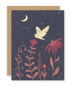 Elana Gabrielle Night Owl Greeting New Arrivals