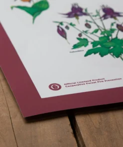 The Landmark Project Flowers Of The Forest Educational Poster New Arrivals