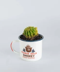 The Landmark Project Smokey Bear Enamelware Mug New Arrivals 8 The Landmark Project Smokey Bear Enamelware Mug New Arrivals