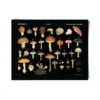 Curious Prints Vintage Black Mushroom Print New Arrivals