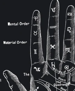 Curious Prints New Arrivals Vintage Palmistry Fortune Teller Chart Print