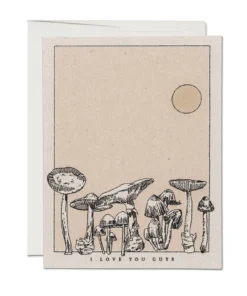 Red Cap Cards Mushroom Love Greeting New Arrivals