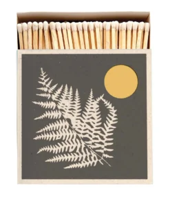 The Archivist Gallery Fern Matchbox New Arrivals