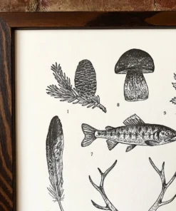 The Wild Wanderer Pacific Crest Trail Letterpress Art Print