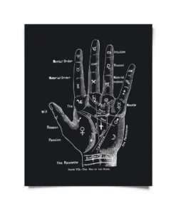 Curious Prints New Arrivals Vintage Palmistry Fortune Teller Chart Print