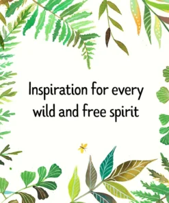 Chronicle Books New Arrivals How To Be A Wildflower Deck By Katie Daisy