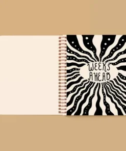 The Rainbow Vision Seeing Eye Open Dated 12 Month Planner