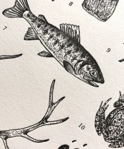 The Wild Wanderer Pacific Crest Trail Letterpress Art Print