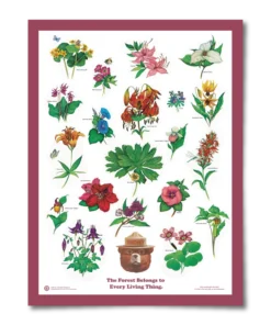 The Landmark Project Flowers Of The Forest Educational Poster New Arrivals