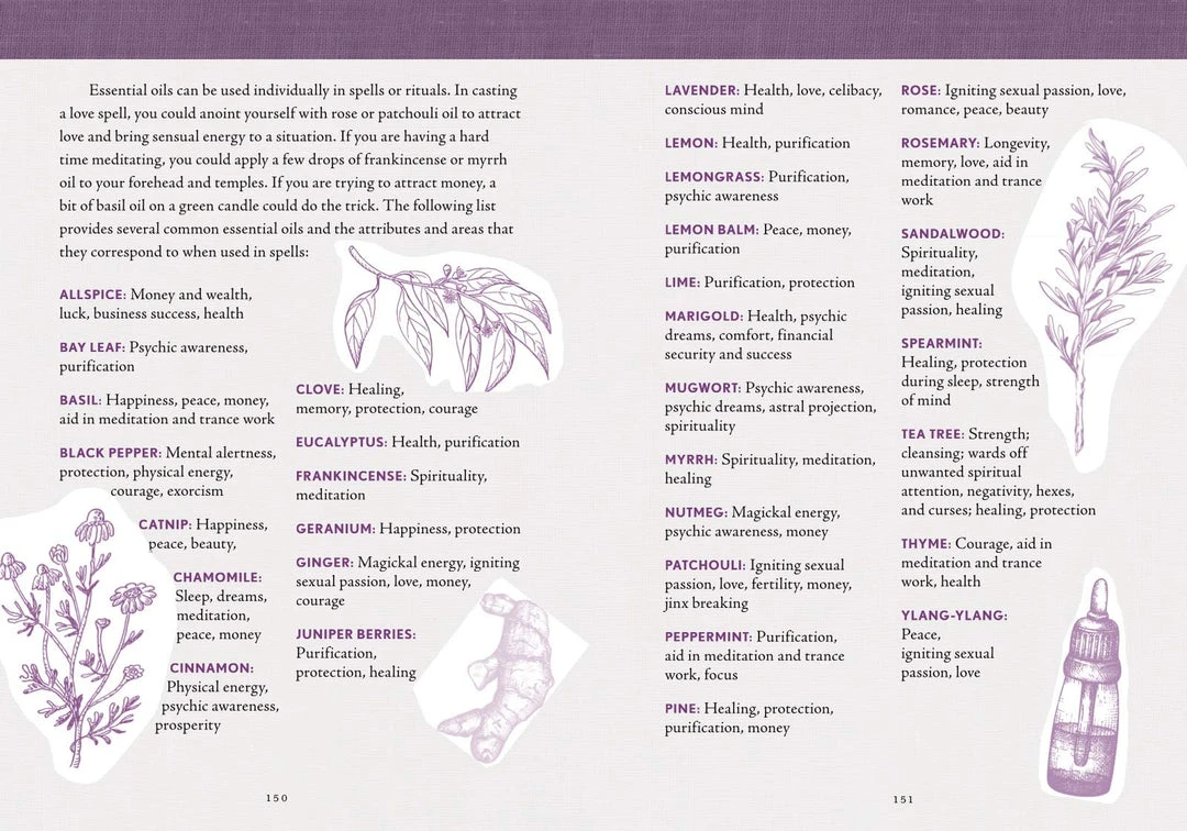 Sterling The Good Witch's Perpetual Planner 10 Sterling The Good Witch's Perpetual Planner