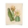 Curious Prints Vintage Botanical Cactus Flower Print New Arrivals