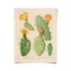 Curious Prints Vintage Botanical Cactus Print New Arrivals