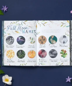 Chronicle Books New Arrivals How To Be A Moonflower