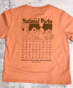 Parks Project National Parks Fill In Boxy Tee