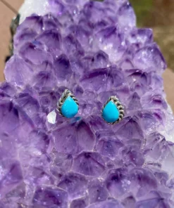Thunderbird Teardrop Turquoise Earrings New Arrivals