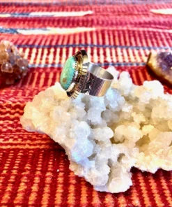 Thunderbird Men's Nevada Turquoise Ring