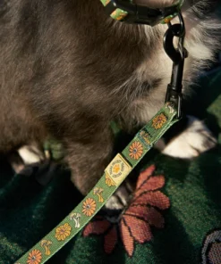 Parks Project Power To The Parks Shrooms Dog Leash