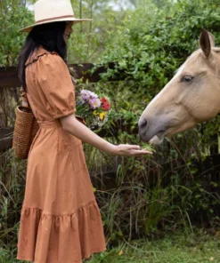 Afternoon The Brand New Arrivals Josephine Dress