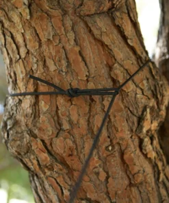 Parks Project Shrooms Two Person Hammock New Arrivals