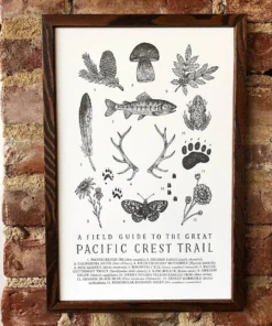 The Wild Wanderer Pacific Crest Trail Letterpress Art Print