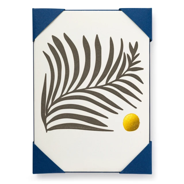 The Archivist Gallery New Arrivals White Fern Greeting 5 Pack 3 The Archivist Gallery New Arrivals White Fern Greeting 5 Pack