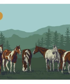 Clara Smith New Arrivals PNW Paints Greeting