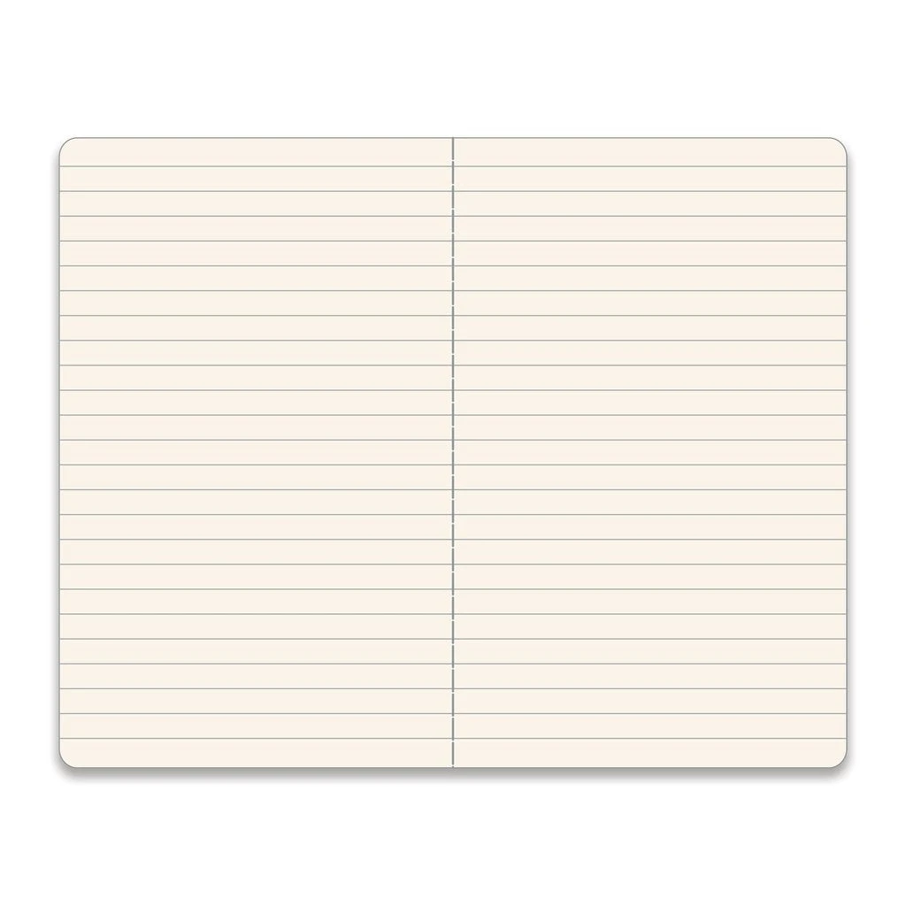 The Rainbow Vision Eye Dream Notebook 4 The Rainbow Vision Eye Dream Notebook