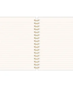 The Rainbow Vision New Arrivals Visions Spiral Journal